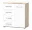 Chest of Drawers White/Oak | Comarca 01 | 96 x 90 x 45 cm | 1 Door | 4 Drawers | Two-Tone Design