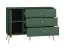 Chest of drawers Inari 04, Colour: Forest Green - Measurements: 85 x 120 x 40 cm (H x W x D), with 1 door, 3 drawers and 2 compartments.