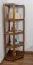 Corner Shelf Solid Pine | Oak-Colored | 163 x 74 x 60 cm | 4 Compartments | Modern Design