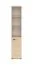 Shelf | Color: Lindberg Oak | narrow | 1 hinged door | soft-close feature | 5 compartments | 39 x 34 x 203 cm | for the office and home office | lockable door