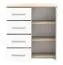 Chest of Drawers White/Oak | Comarca 01 | 96 x 90 x 45 cm | 1 Door | 4 Drawers | Two-Tone Design