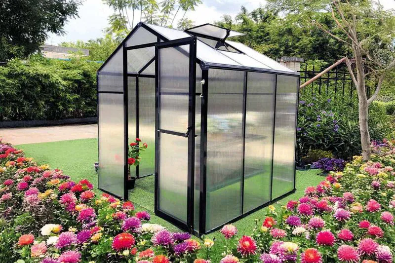 Safran PRO 02 greenhouse, 175 x 178 x 192 cm, profile color black, incl. substructure and 1 skylight, twin-wall sheets