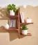 Sheesham Solid Wood Wall Shelf | Modern Tree Design | 60 x 58 x 15 cm | Handcrafted | Brown Finish