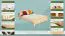 Children's Bed or Youth Bed | Solid Beech Wood Natural Finish | 140 x 200 cm | Slatted Frame Included