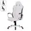 Gaming chair / desk chair with breathable cover Apolo 37, color: white / black, lockable rocking mechanism