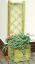 Flower box with trellis Alata 1 - Measurements: 40 x 40 x 140 cm (W x D x H)