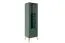 Display cabinet Inari 01, color: forest green - Dimensions: 190 x 55 x 40 cm (H x W x D), with 1 door, 2 drawers and 4 compartments